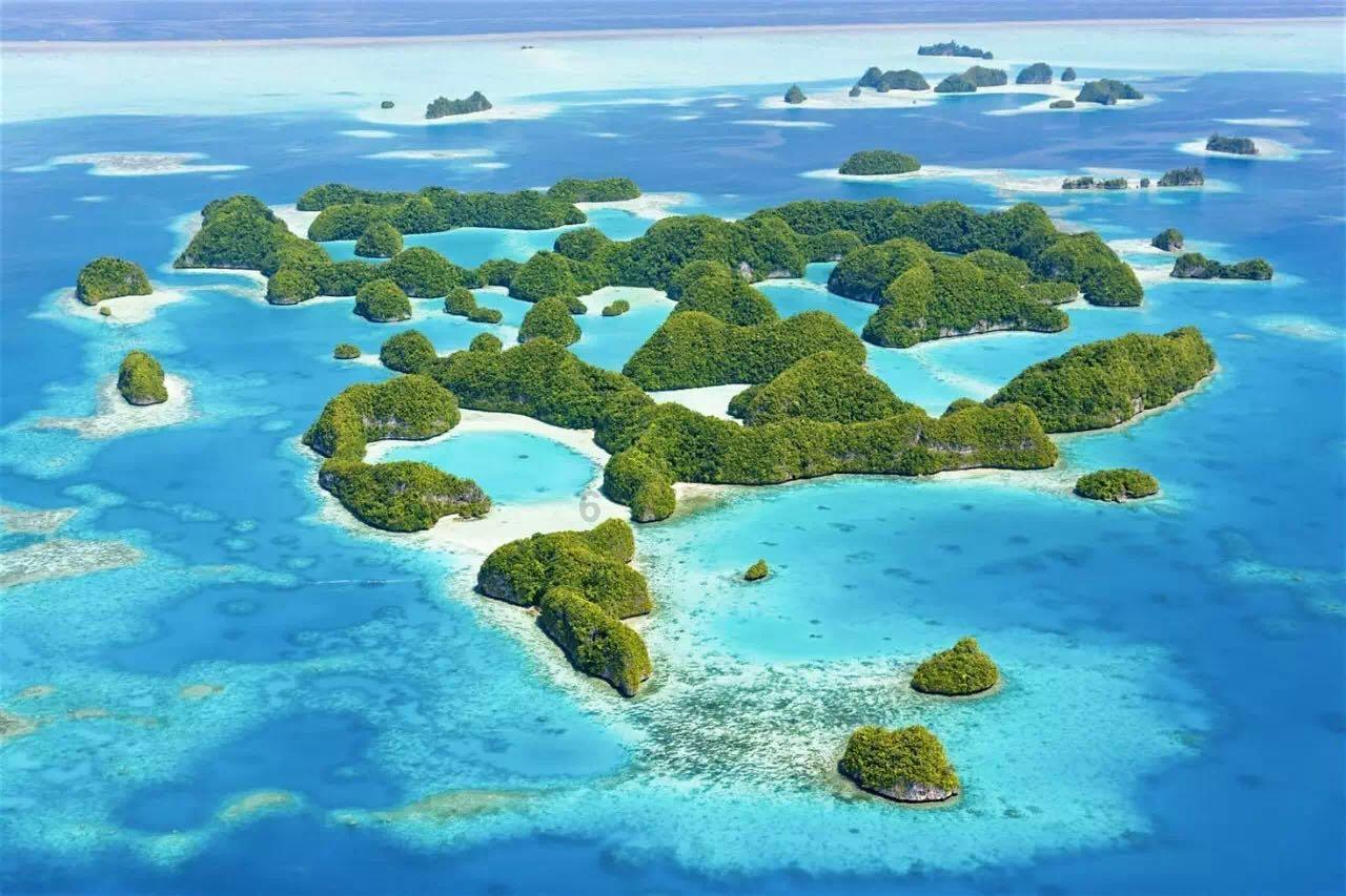芭比娃娃的服装