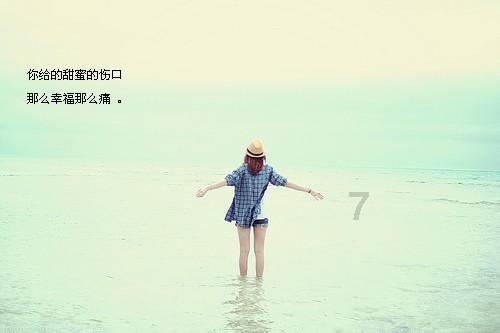 小猫钓鱼游戏龙王版有船