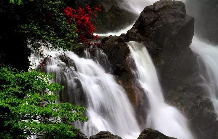 与电影届“百花奖”齐名，潍坊田洪波荣获中国民间文艺“山花奖”